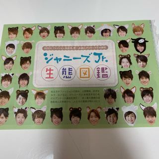 ジャニーズジュニア(ジャニーズJr.)のジャニーズJr図鑑(アイドルグッズ)