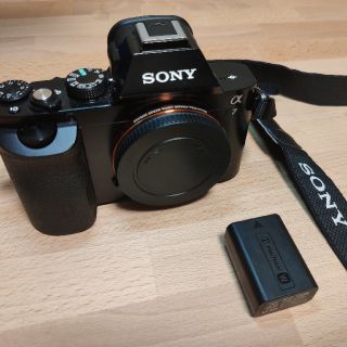 ソニー(SONY)のα7 ILEC-7 本体(ミラーレス一眼)