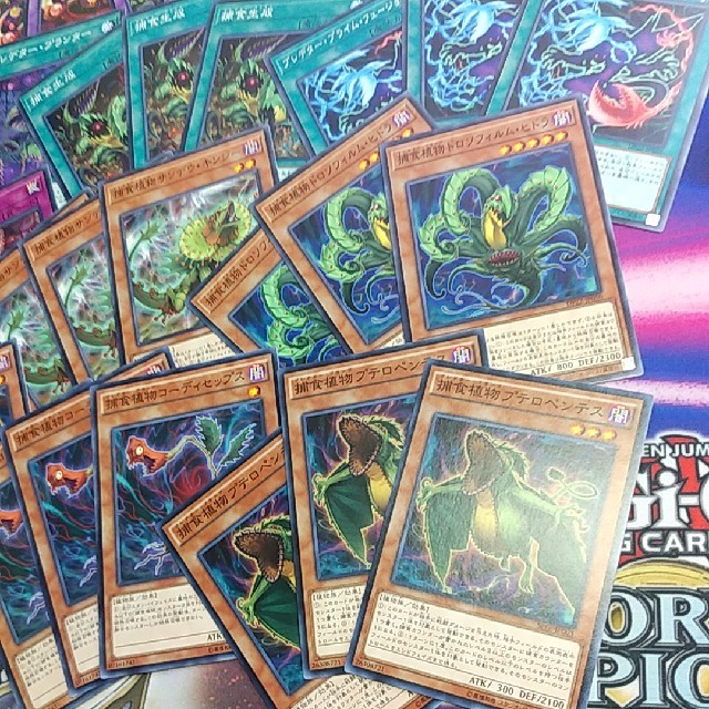 遊戯王 404 早い者勝ち 捕食植物 プレデタープランツ デッキパーツ大量まとめ の通販 By Jnri0406 S Shop ユウギオウならラクマ 遊戯王 404 早い者勝ち 捕食植物 プレデタープランツ デッキパーツ大量まとめ の通販 By Jnri0406 S Shop ユウギオウならラクマ