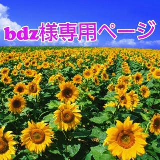 bdz様専用ページ(その他)