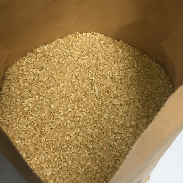 無農薬 玄米 コシヒカリ 20kg(5kg×4) 令和元年 徳島県産 食品/飲料/酒の食品(米/穀物)の商品写真