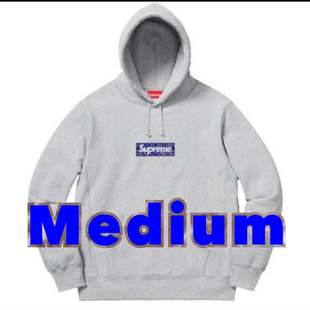 Supreme 19ss boxlogo hoodedsweatshirt M