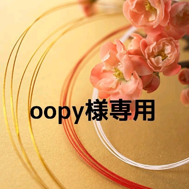 Kanebo(カネボウ)のoopy様専用 コスメ/美容のスキンケア/基礎化粧品(ブースター/導入液)の商品写真