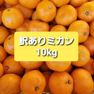 訳あり みかん 10kg(フルーツ)