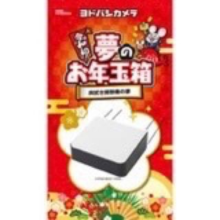 夢のお年玉箱2020 床拭き掃除機の夢　ヨドバシカメラ福袋(掃除機)