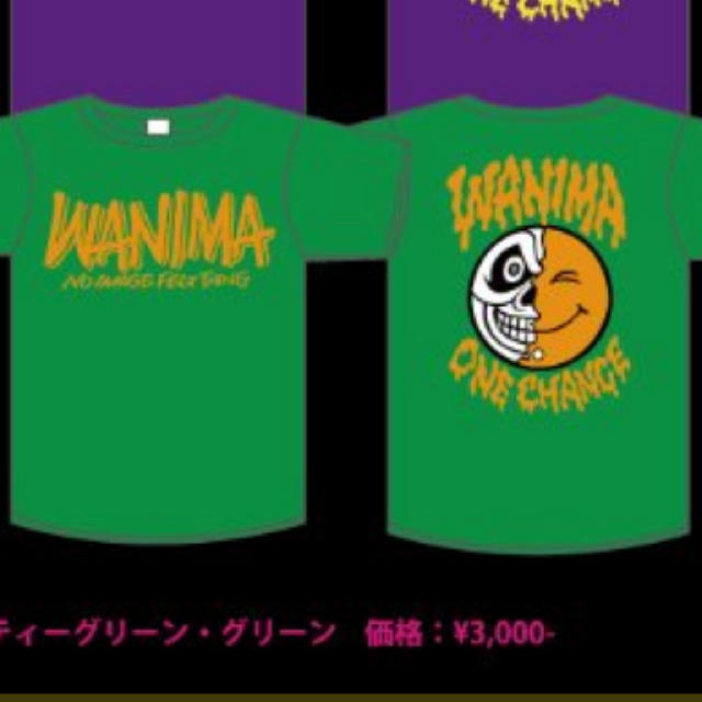 WANIMA(ワニマ)のWANIMA  Tシャツ エンタメ/ホビーのタレントグッズ(ミュージシャン)の商品写真
