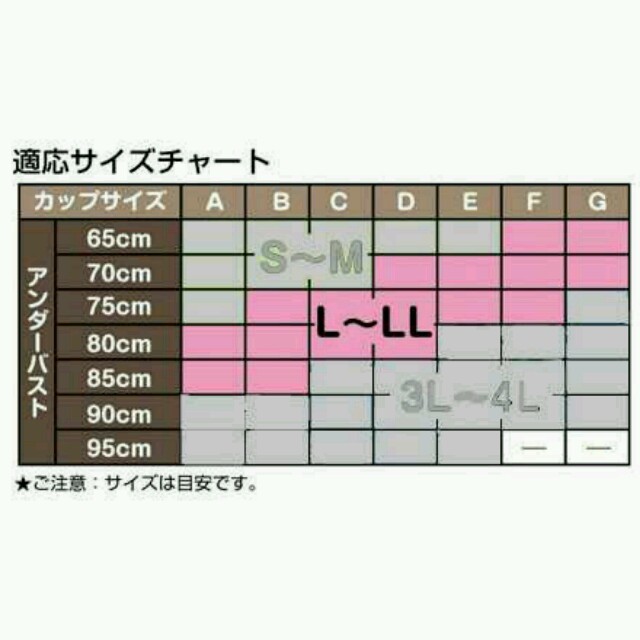 新品 ノンワイヤーブラ ２枚セット レディースのレディース その他(その他)の商品写真