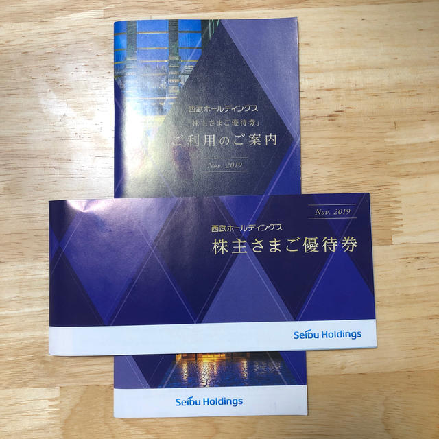 その他西武ホールディングス　株主優待　冊子