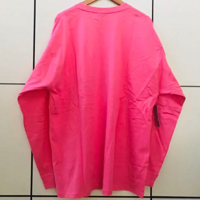 NIKE(ナイキ)のL ラスト1枚！NIKE ACG ロングスリーブ Tシャツ ピンク ロンT メンズのトップス(Tシャツ/カットソー(七分/長袖))の商品写真