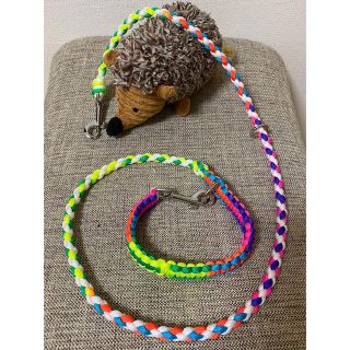 リード 犬 ハンドメイド パラコード(リード/首輪)