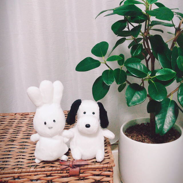 即日発送】新品☆バムとケロ ヤメピ/おじぎちゃん セットの通販 即日発送】新品☆バムとケロ ヤメピ/おじぎちゃん セットの通販