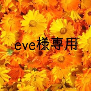 eve様専用  お米　令和元年　愛媛県産キヌヒカリ　玄米　30㎏(米/穀物)