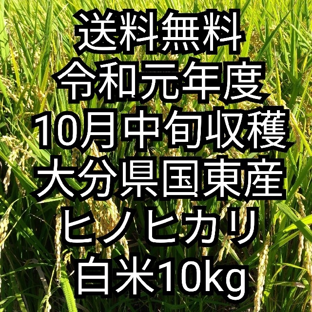 [送料無料] 令和元年大分県国東産 ヒノヒカリ白米10kg