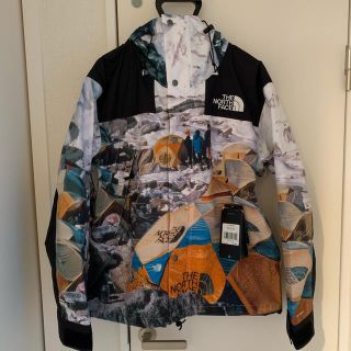 ザノースフェイス(THE NORTH FACE)のThenorth face × INVINCIBLE Supreme好きに(マウンテンパーカー)