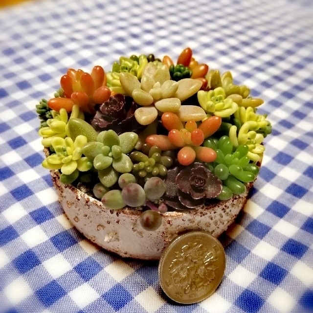 多肉植物 寄せ植え ハンドメイドのフラワー/ガーデン(その他)の商品写真