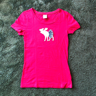 アバクロンビーアンドフィッチ(Abercrombie&Fitch)のAbercrombie KIDS 女児　Tシャツ　サイズXL(Tシャツ/カットソー)