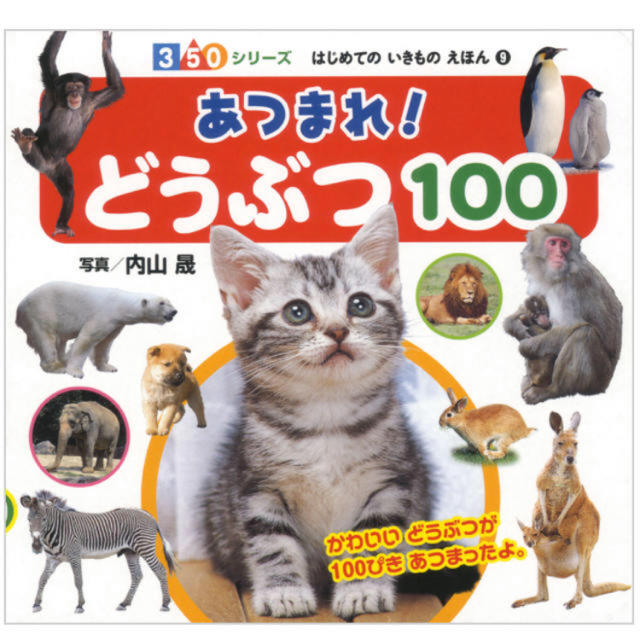 講談社(コウダンシャ)の動物図鑑 エンタメ/ホビーの本(絵本/児童書)の商品写真