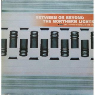 【廃盤2LP】VA / Between Or Beyond The Northe