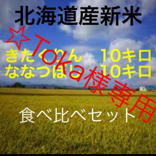 新米　ななつぼし　きたくりん(米/穀物)