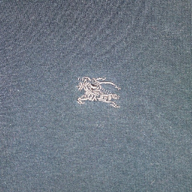 BURBERRY BLUE LABEL(バーバリーブルーレーベル)のBURBERRYアウター レディースのジャケット/アウター(ブルゾン)の商品写真