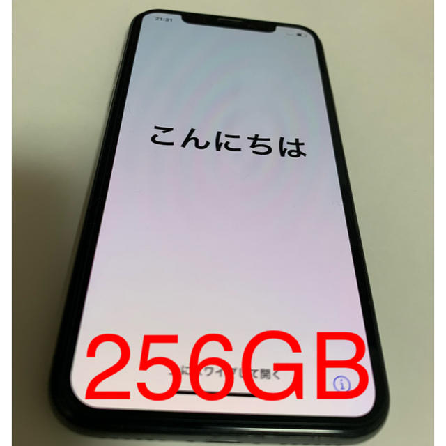 iPhone X 256GB