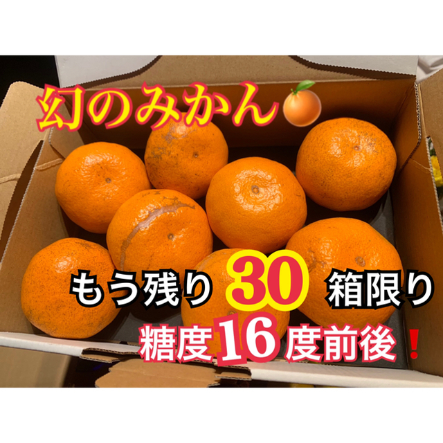 lionsun様専用　幻の河内みかん5kg  キャロルセブン1kgセット 食品/飲料/酒の食品(フルーツ)の商品写真