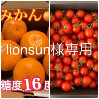 lionsun様専用　幻の河内みかん5kg  キャロルセブン1kgセット(フルーツ)