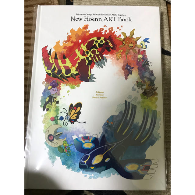 ポケモン(ポケモン)のNew Hoenn ART Book エンタメ/ホビーの本(アート/エンタメ)の商品写真