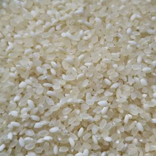 生活応援📣お米10㎏(ブレンド米・こめ・お米10キロ・お米30㎏各種有(米/穀物)