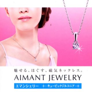 ピップ磁気ネックレス(ネックレス)