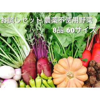 農薬・肥料不使用の野菜セット　お試し版(野菜)