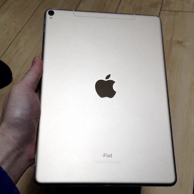 iPad - ★今週だけ値下げ【pencil付】ipad pro 256GB/10.5