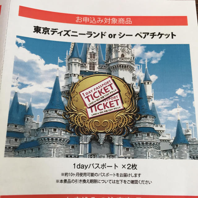 ディズニーランドorシー ペアチケット