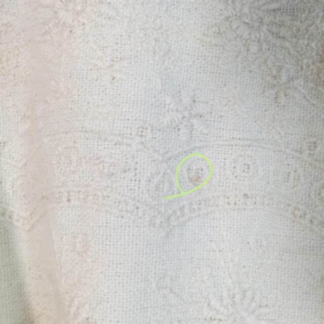 earth music & ecology(アースミュージックアンドエコロジー)のフラワー刺繍♡フレアスカート レディースのスカート(ミニスカート)の商品写真