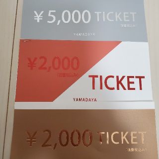 スコットクラブ(SCOT CLUB)の【9000円分】スコットクラブ⭐YAMADAYA(ショッピング)