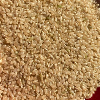 玄米 1キロ キヌヒカリ ダイエットにも(米/穀物)