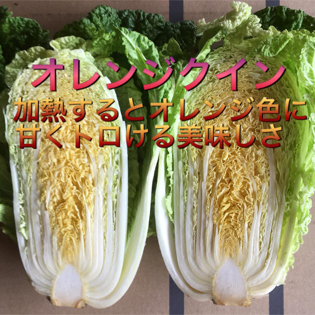 野菜BOX  LLサイズ 食品/飲料/酒の食品(野菜)の商品写真