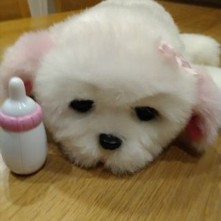 トイザラス(トイザらス)の犬のぬいぐるみ(ぬいぐるみ)