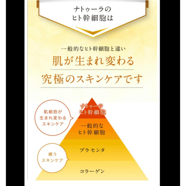 pcリペアゲル　オールインワン　新品未使用　50本まとめ売り　大量