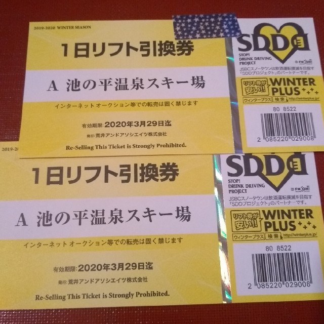 (2枚セット) 池の平温泉スキー場 リフト引換券