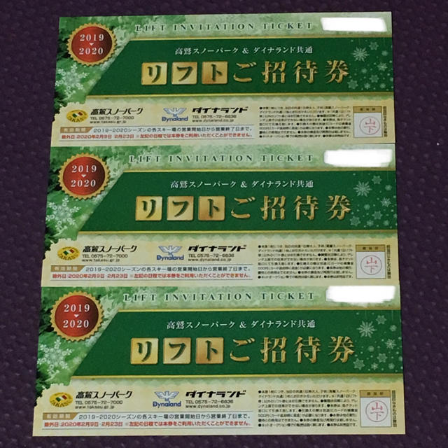 高鷲スノーパーク ダイナランド リフト券 3枚 PTgo5y6Frw - www