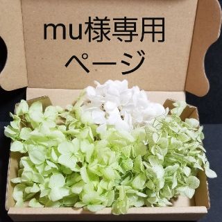 mu様専用ページ(プリザーブドフラワー)