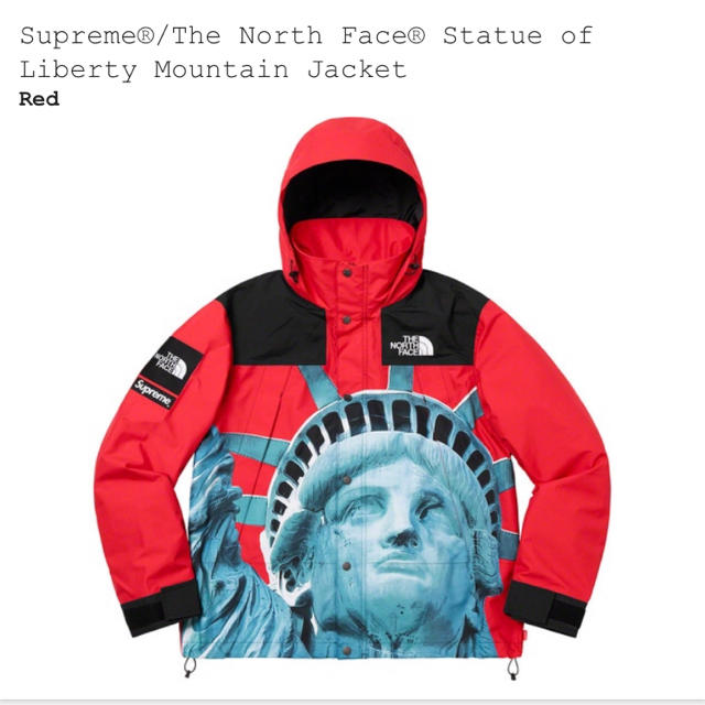 Supreme The North Face Mountain Jacket 赤 - マウンテンパーカー