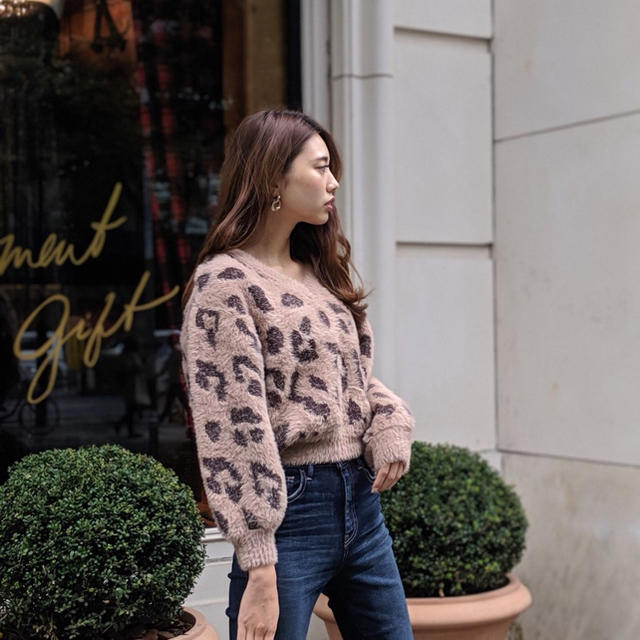 rienda(リエンダ)のrienda Leopard Shaggy Vneck TOP レディースのトップス(ニット/セーター)の商品写真