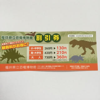 福井県立恐竜博物館 割引券(美術館/博物館)