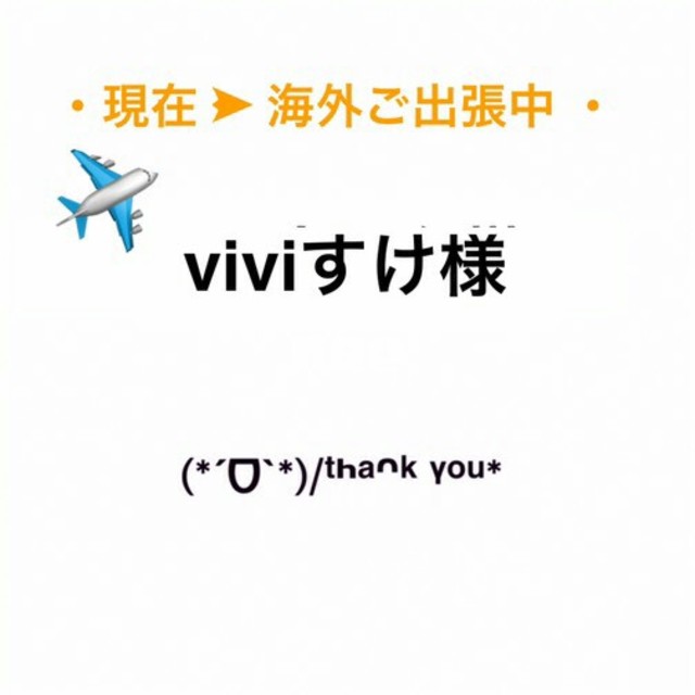 Viviさま専用 現在海外出張中 - その他