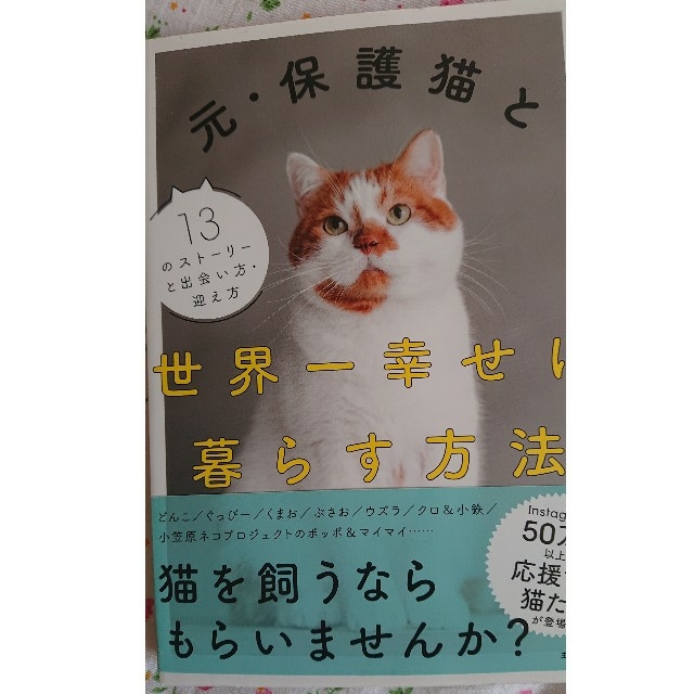 元・保護猫と世界一幸せに暮らす方法 エンタメ/ホビーの本(住まい/暮らし/子育て)の商品写真