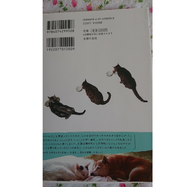 元・保護猫と世界一幸せに暮らす方法 エンタメ/ホビーの本(住まい/暮らし/子育て)の商品写真