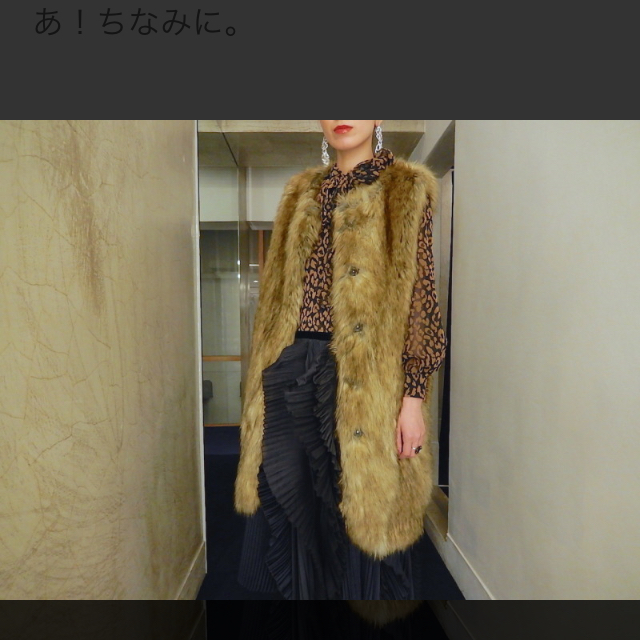 羊さん専用！yoshiyo ファーベスト レディースのジャケット/アウター(毛皮/ファーコート)の商品写真