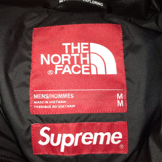 Supreme(シュプリーム)の今市着Supreme The North Face Leather Nuptse メンズのジャケット/アウター(ダウンジャケット)の商品写真